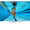 Blau Gefärbt / Transparent,Azul Tintado / Transparente,Bleu Teinté / Transparent,Colorato di blu / Trasparente,Blue Tinted / Transparent
